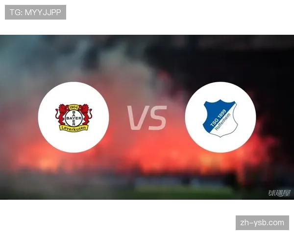 勒沃库森3-1战胜霍芬海姆,积分追平榜首多特蒙德